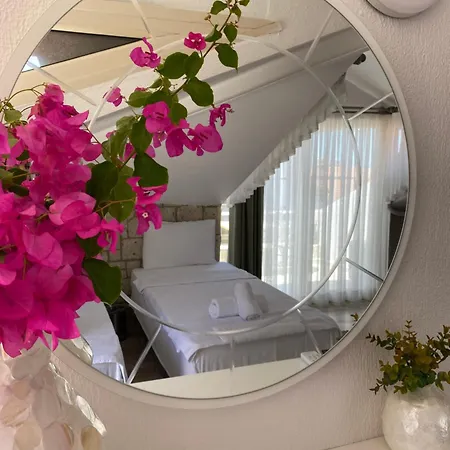 Cumbalica Flora מלון *